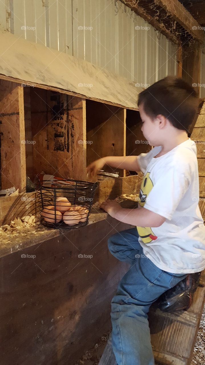 young help on a farm