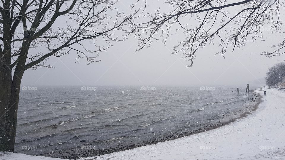 Winter, Snow, Landscape, Weather, Cold