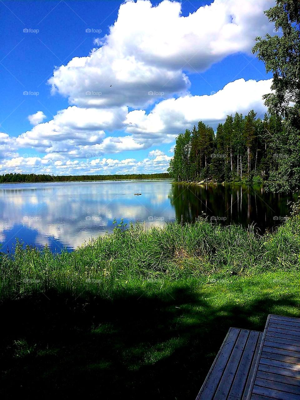 Green vs Blue and White Landscape