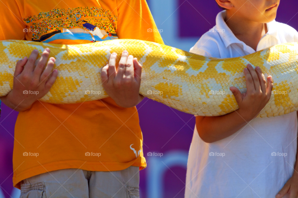 children child kid reptile by jmsilva59