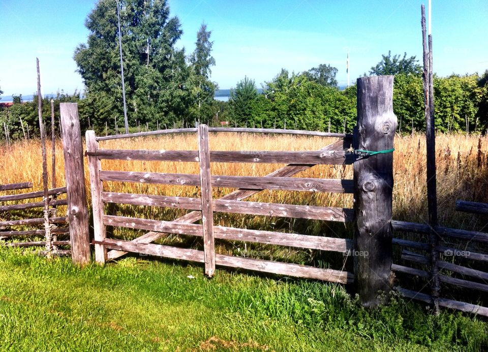 Landscape with wooden fence and gate.