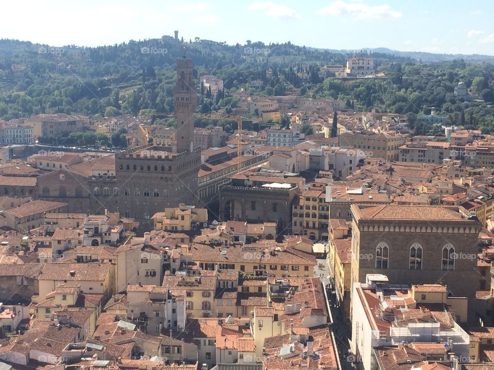 Italy Florence city landscape 