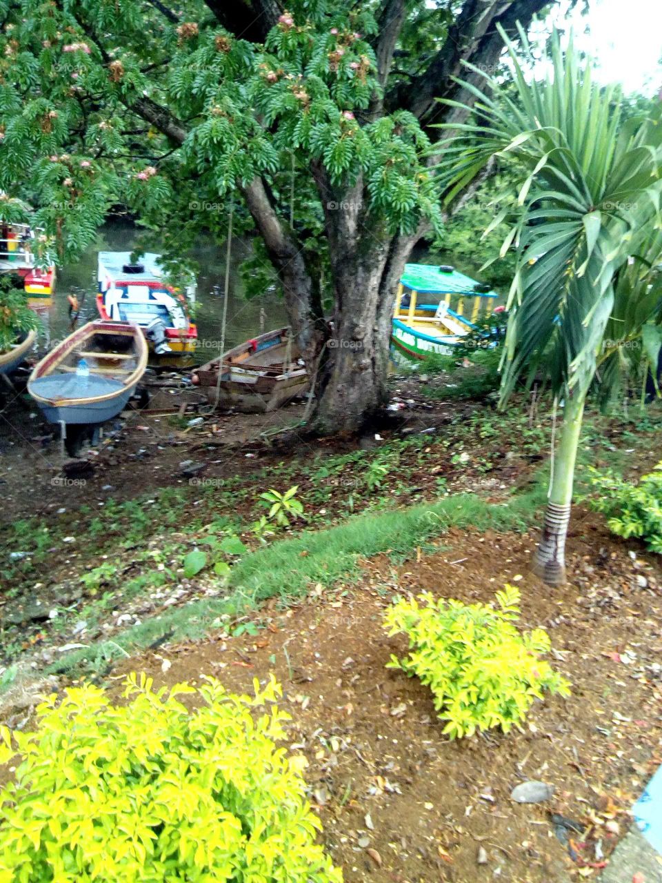 this picture it stand out why just look at how beautiful this picture is iove it very much