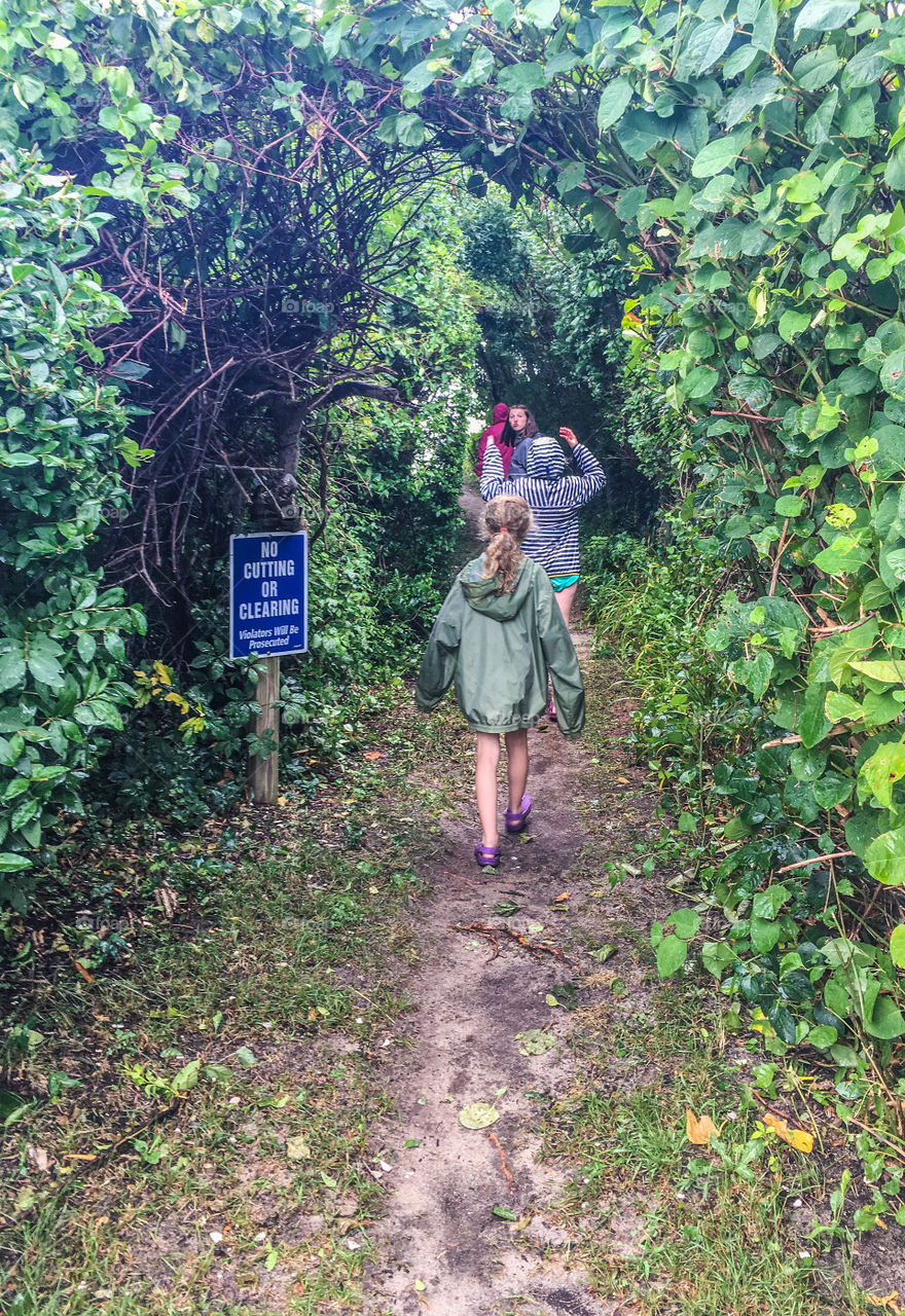 Walking the tree lined path down to the beach on a cloudy, grey day in Cape Cod 