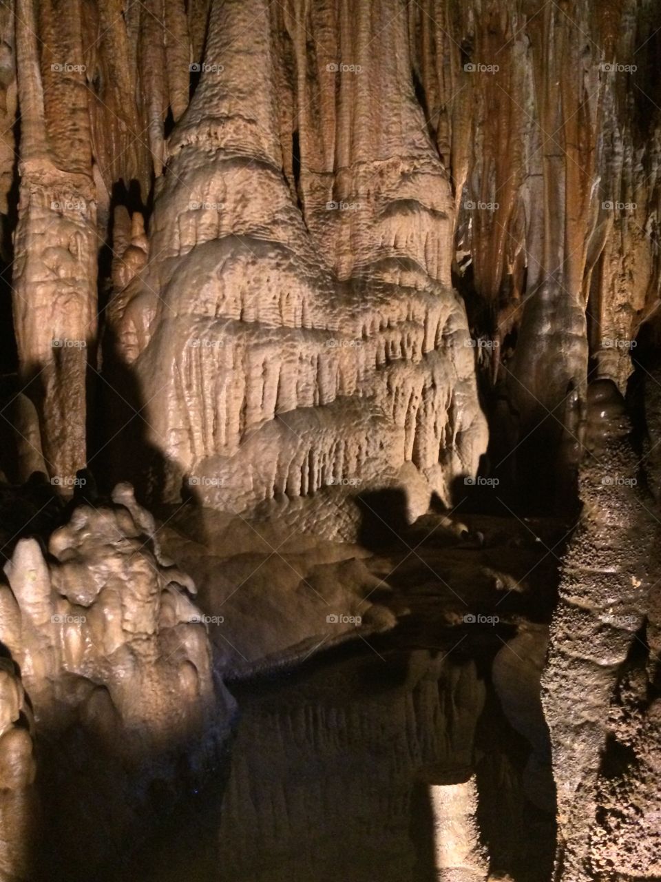 Reflected Upon A Pool. A seasonal pool reflects the image of a stalagmite within the Florida Caverns.