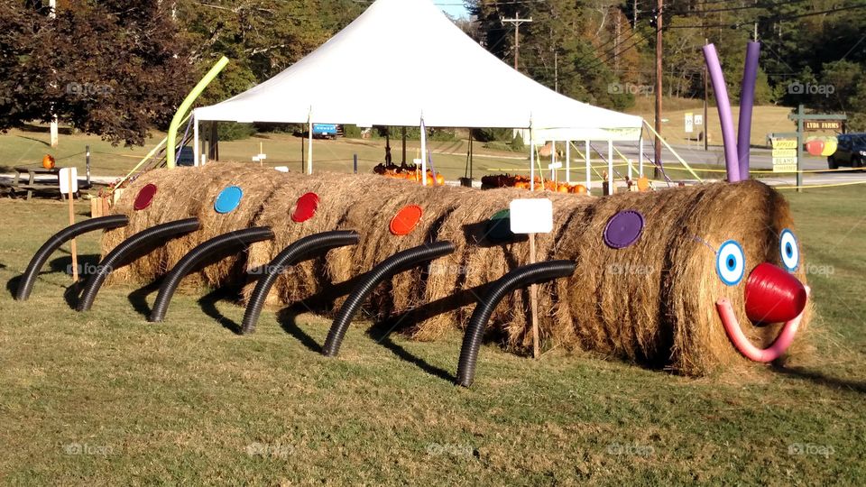 local Apple stand has opened for its fall season and this is a favorite decoration