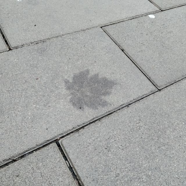 step of the autumn