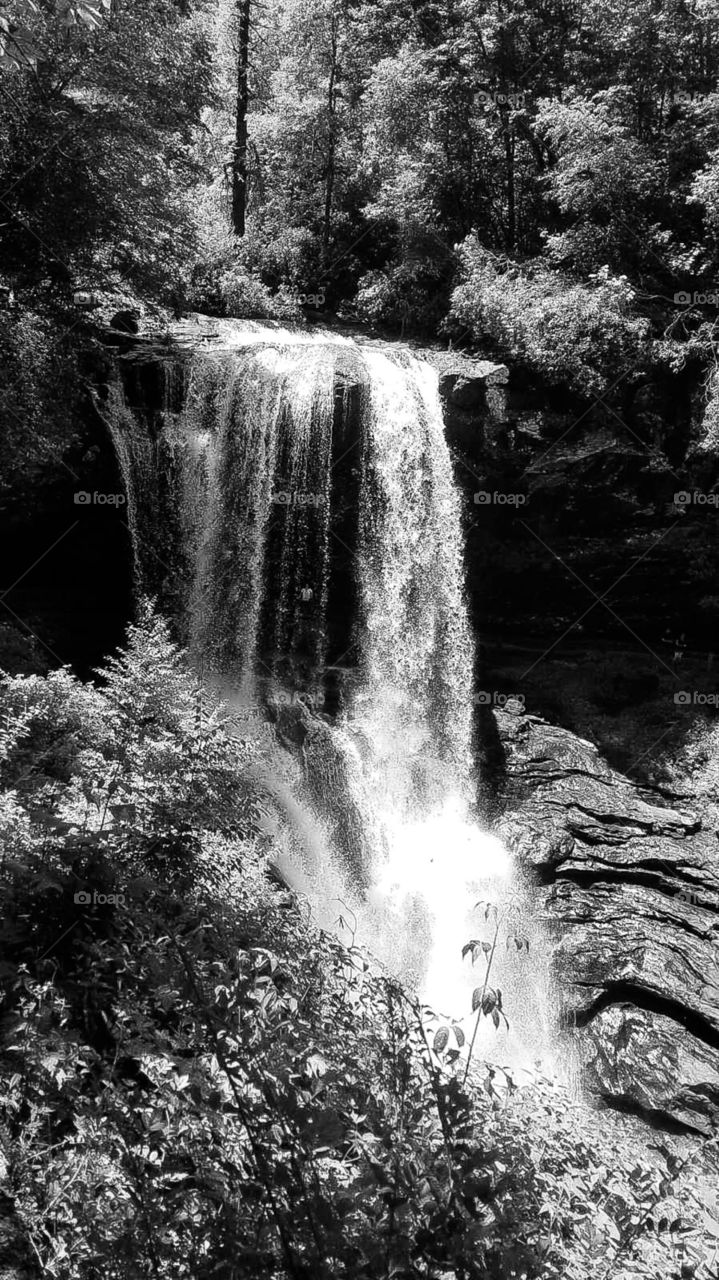 Waterfall, splash, rocks and foliage in black and white photo with great detail
