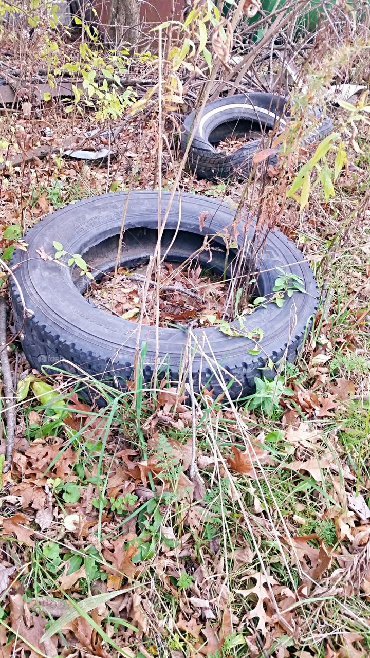 Old Tires