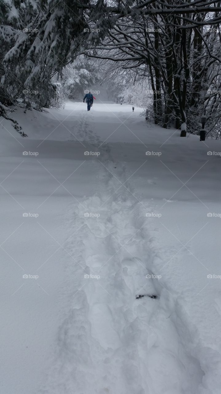 black and white . our climb was 1000 steps from the snow but it was just an uphill