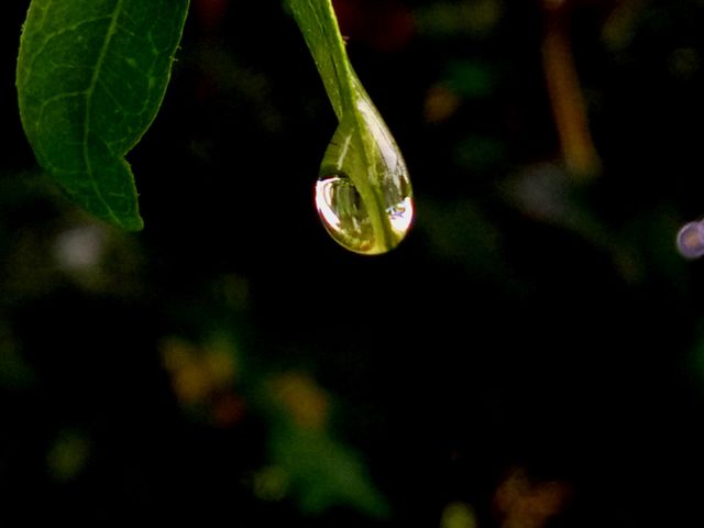 water drop