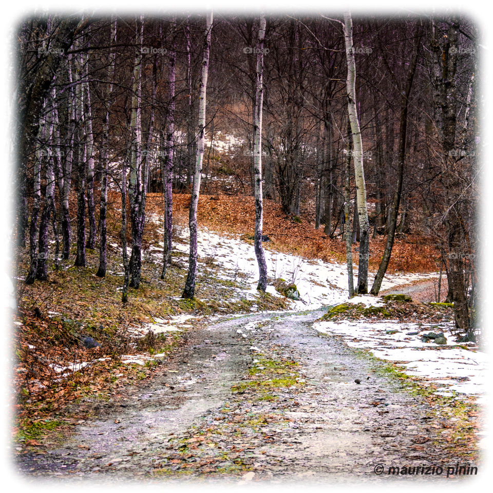 Relaxing into the nature