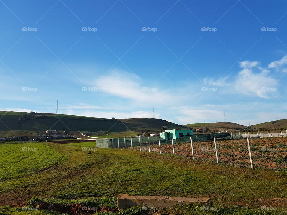 Moroccan Agricultural fields #7