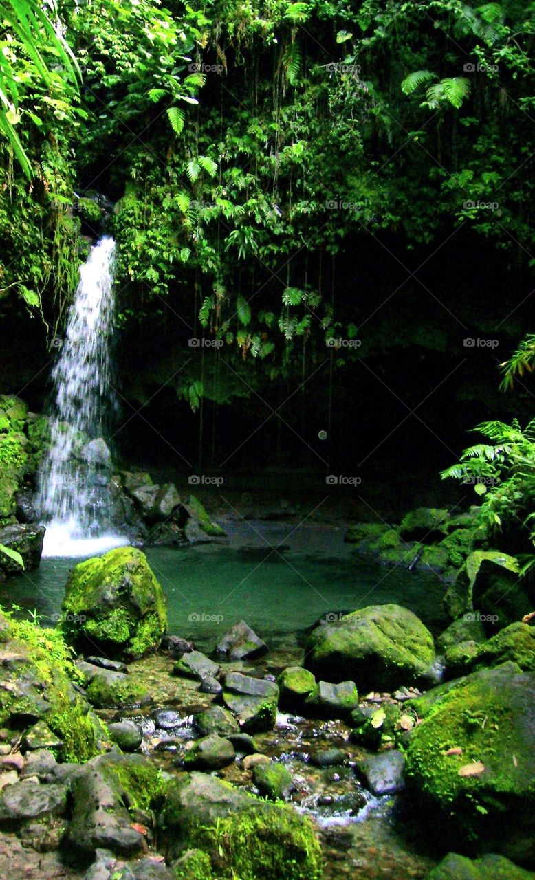 Dominica waterfall 