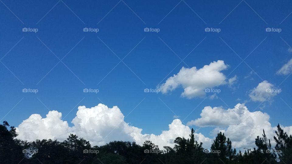 Fluffy white clouds against blue sky