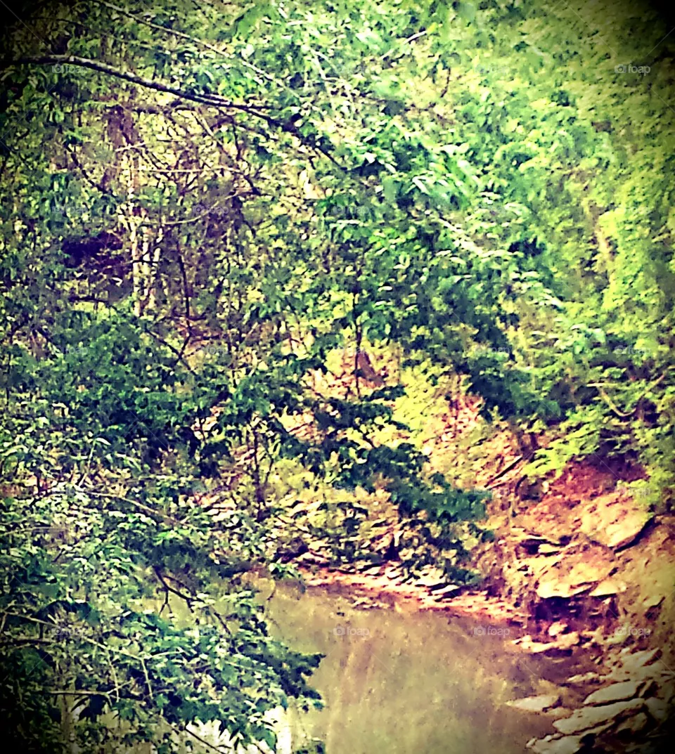 Creek