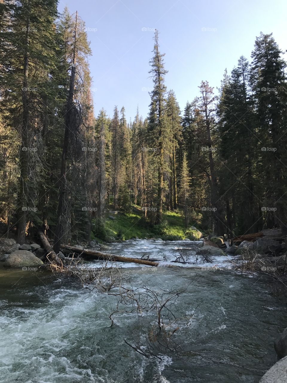 Yosemite National Park 