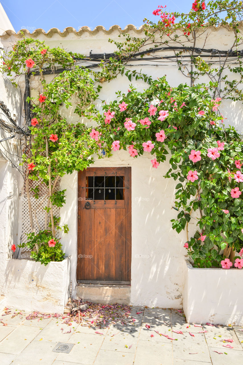 Door with pink flowers