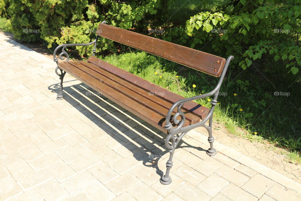 bench