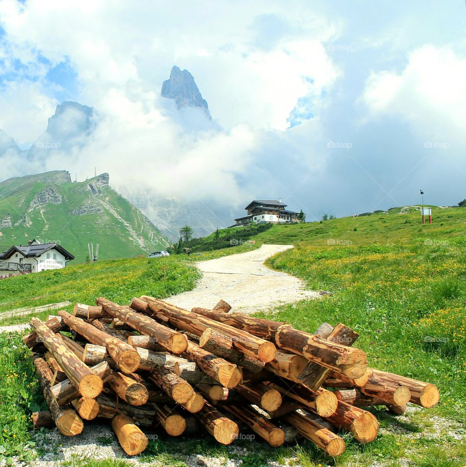 wood with Dolomites in background