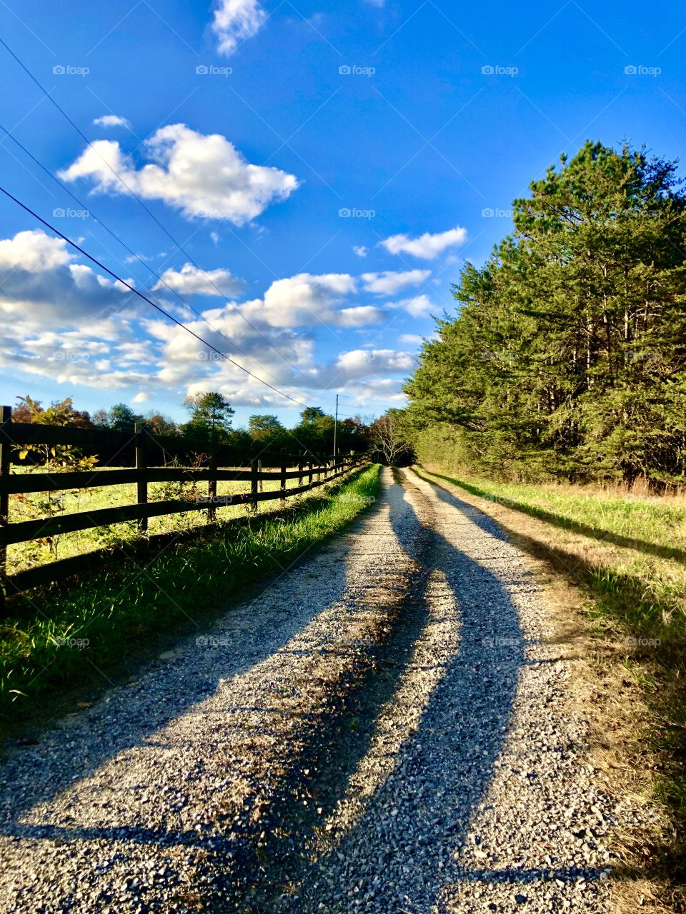 Gravel road through Bear Creek Wildlife Preserve 