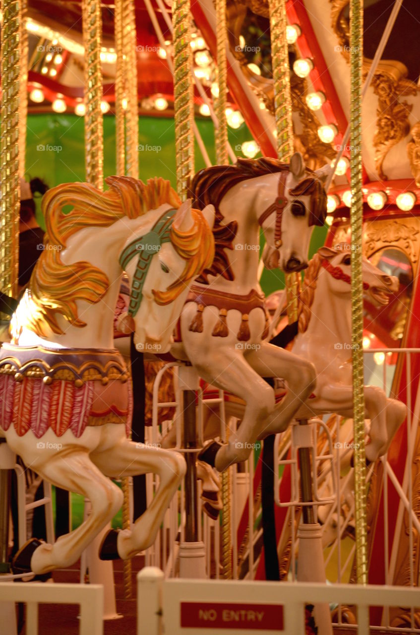 Carousel horses in amusement park