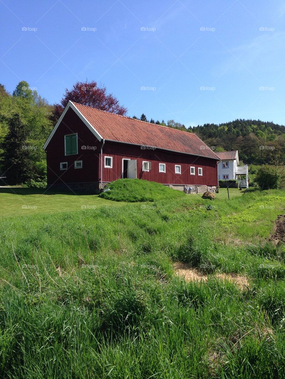 Farm Sweden 