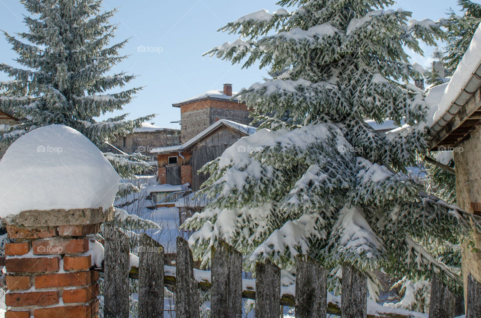 Winter landscape, Ravnogor Village, Bulgaria