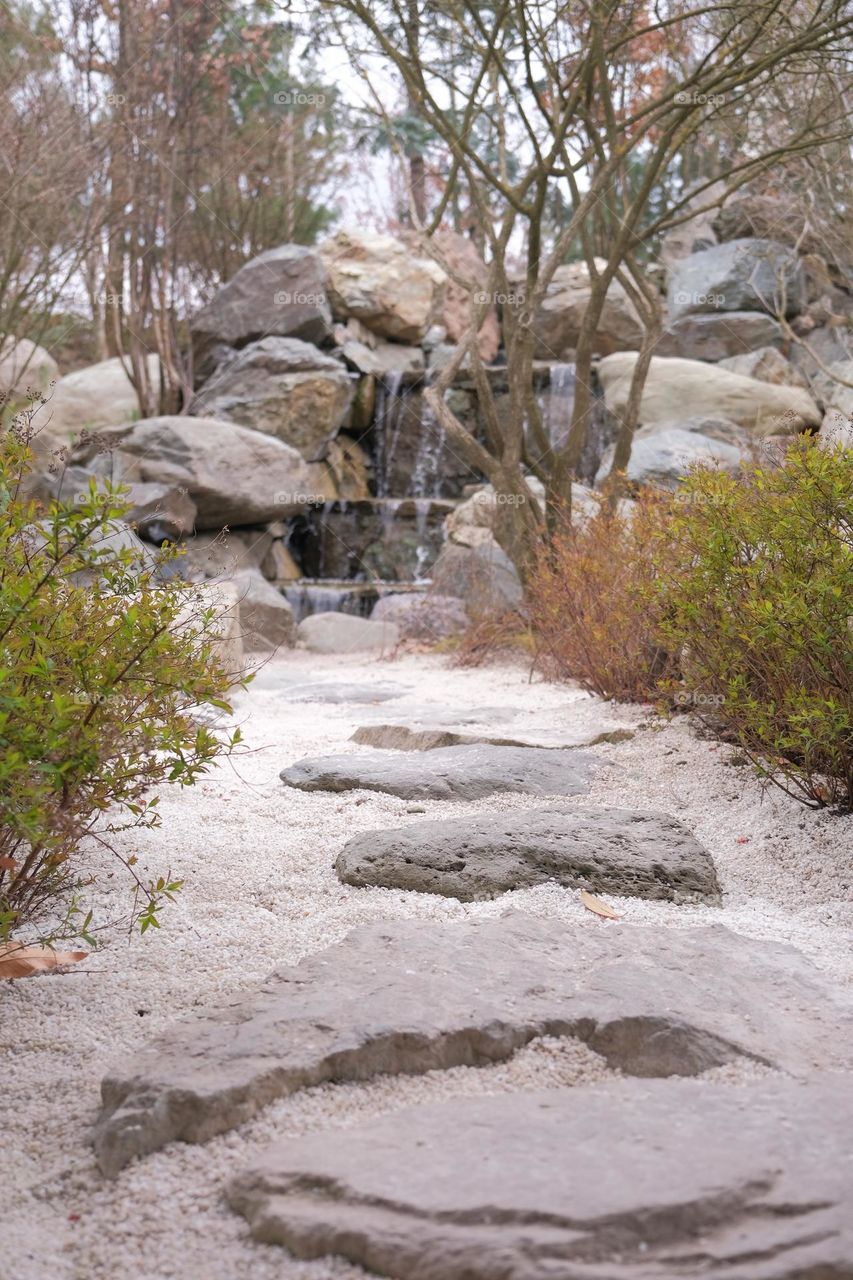 beautiful spring moment