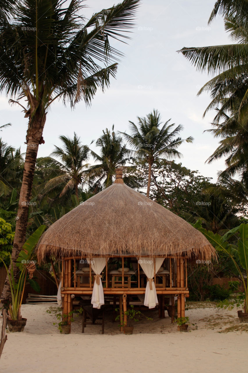 b beach nature palm by shotmaker