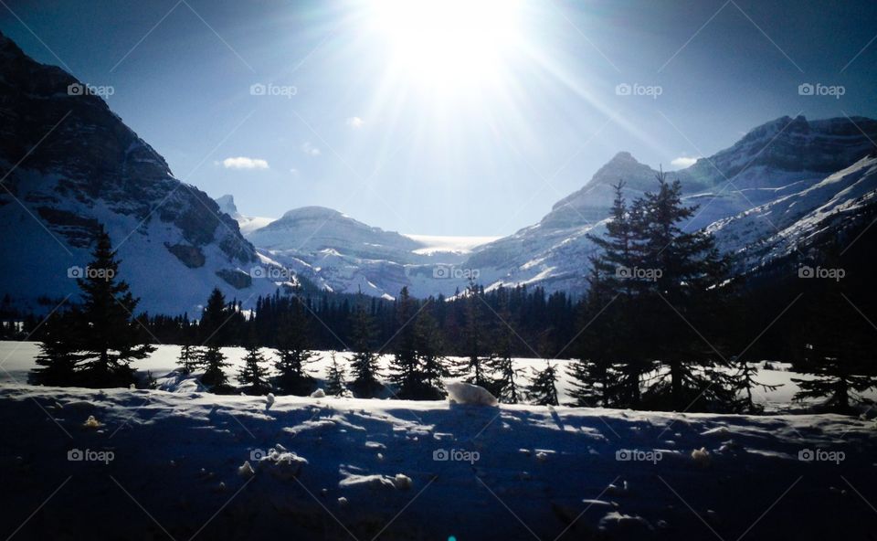 View of banff national park