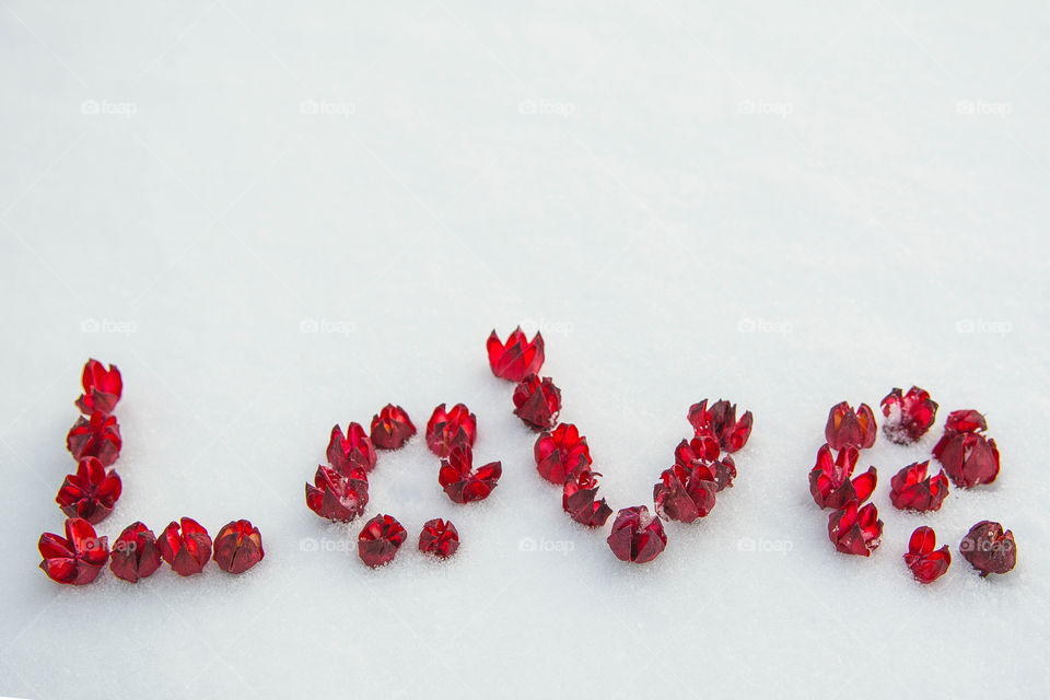 High angle view of berry fruits forming love text