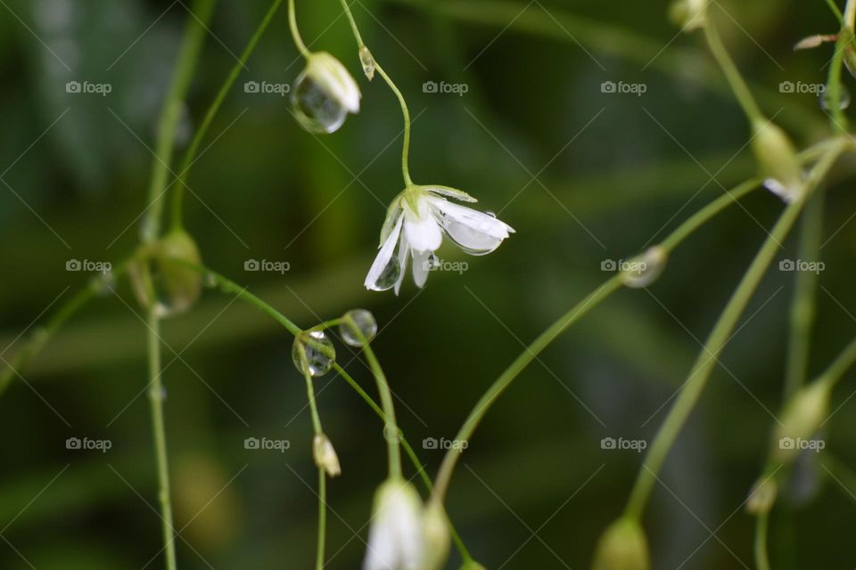 Can’t wait for winter to be over and say Spring has sprung!  