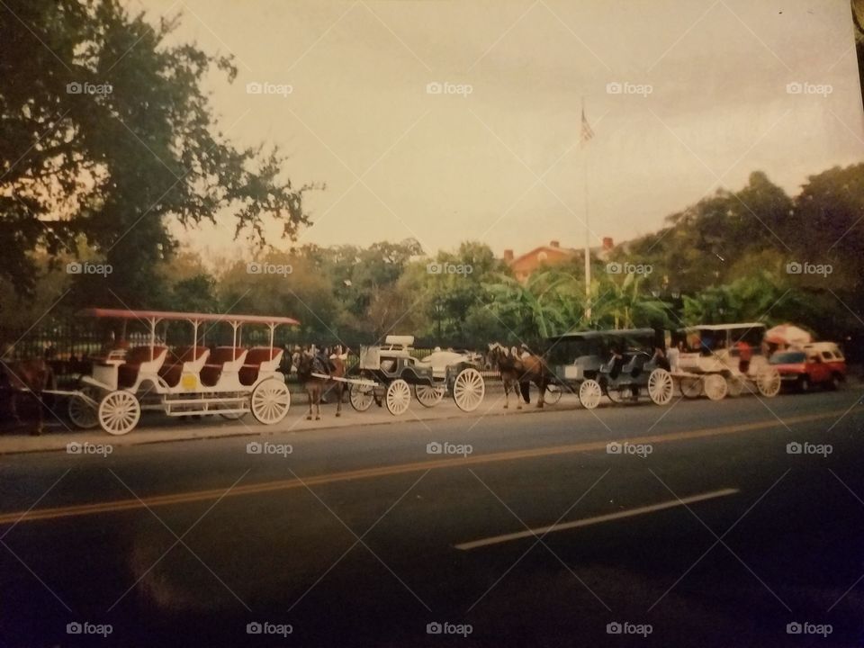 Buggies waiting for passengers by Jackson Square in New Orleans.