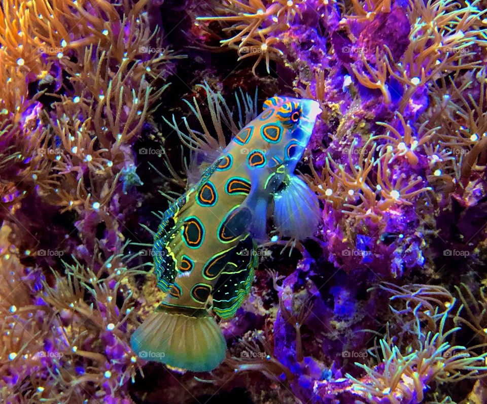 This photo shows how is mother nature amazing and despite twenty-twenty was a hard Year, the Nature is always here for You to make You feel better ๐ฟ๐๐ฎ