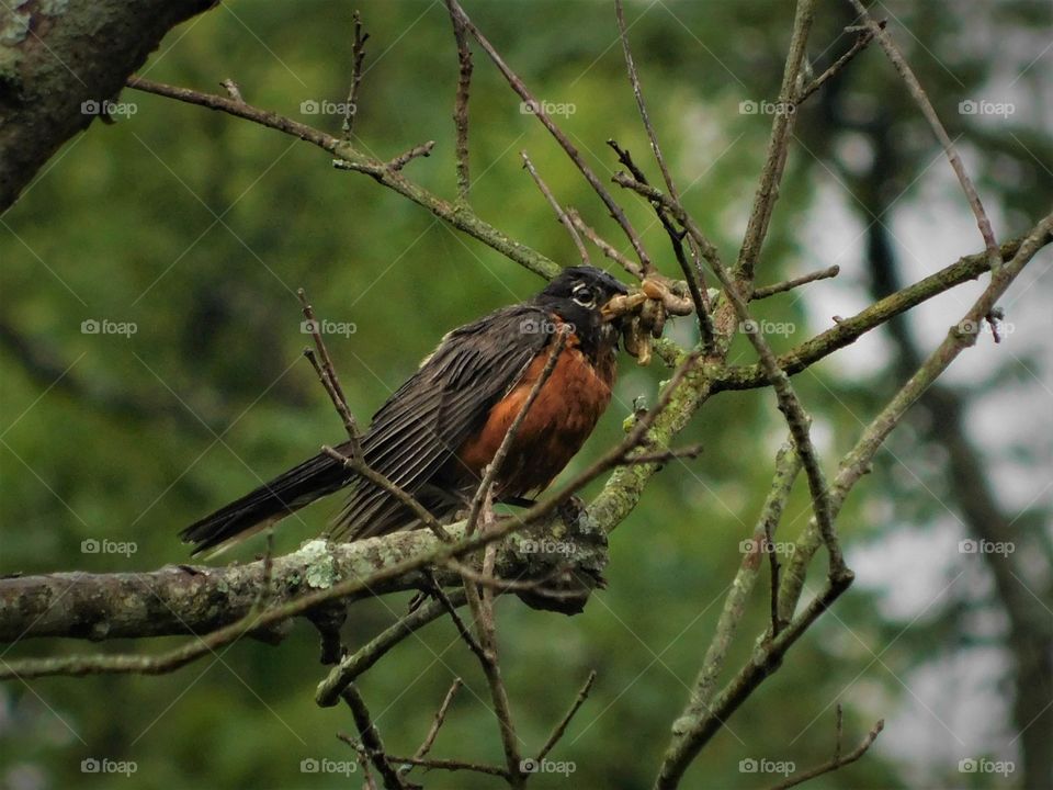rainy day mommy struggles