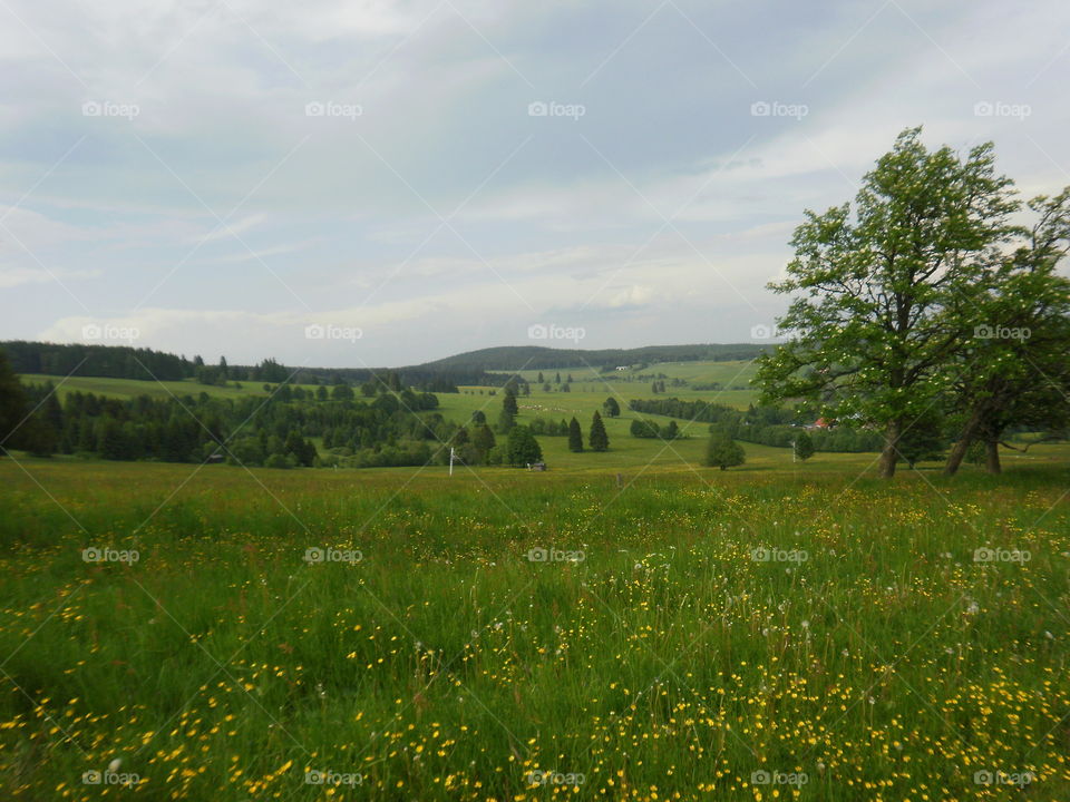 Czech mountains (Šumava)