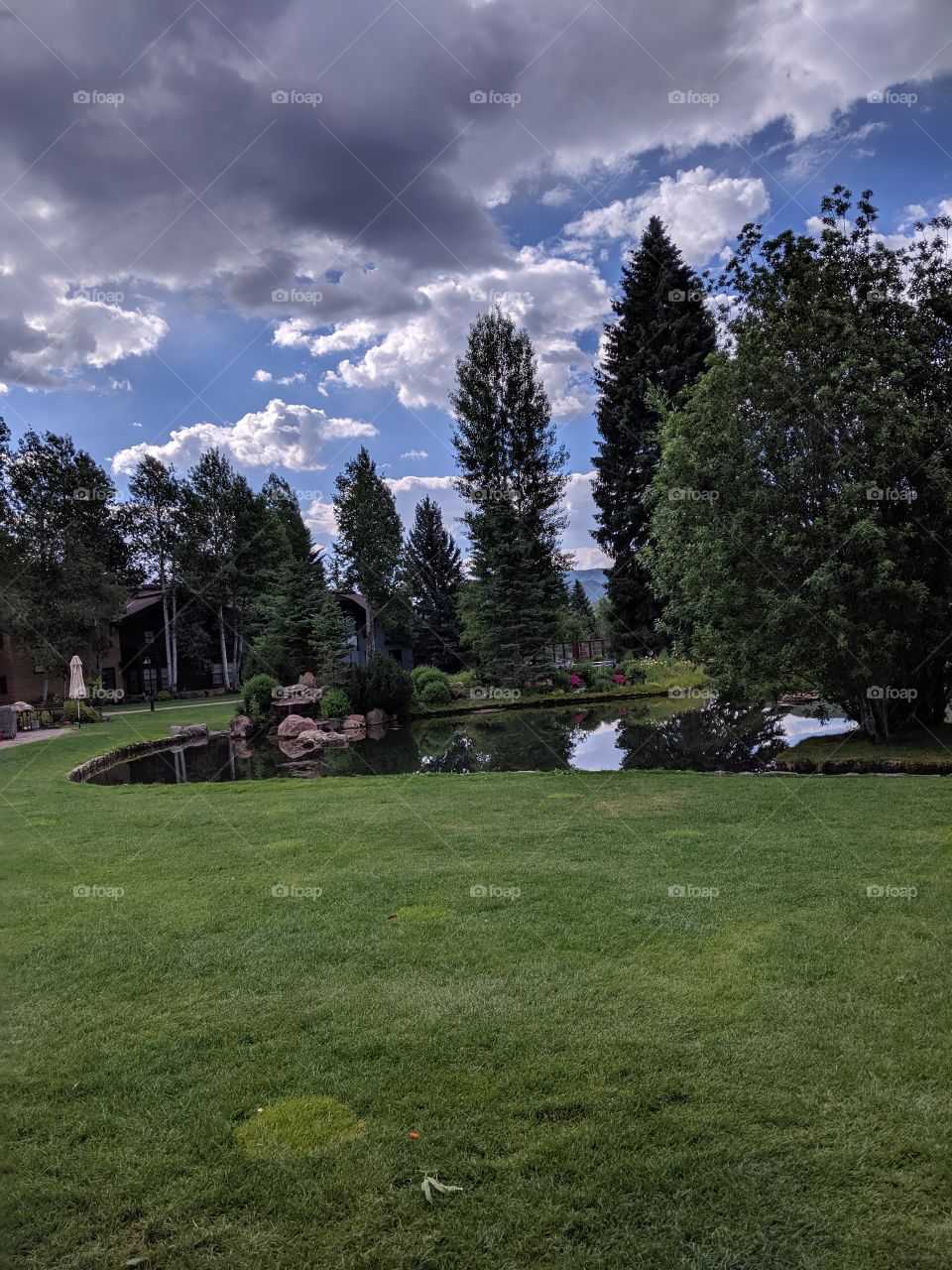 Trees and Pond in Sun Valley, Idaho.