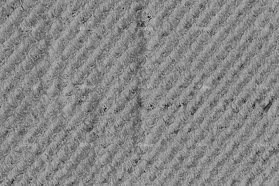 Schneebedeckter Zaun