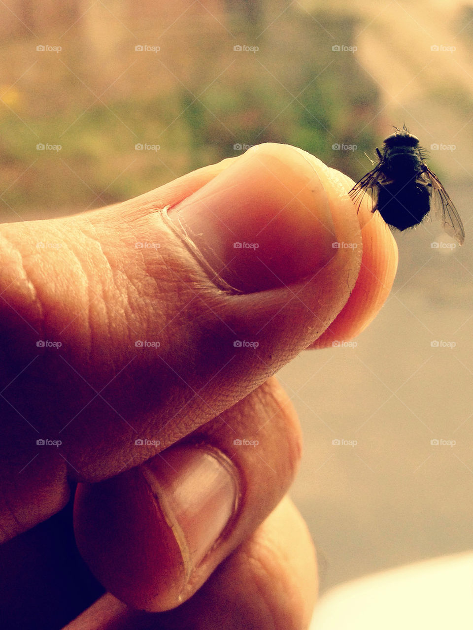 thumb mosquito iphone 4s by omer