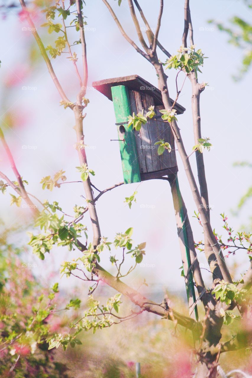 Everybody needs a little cosy... birdhouse!