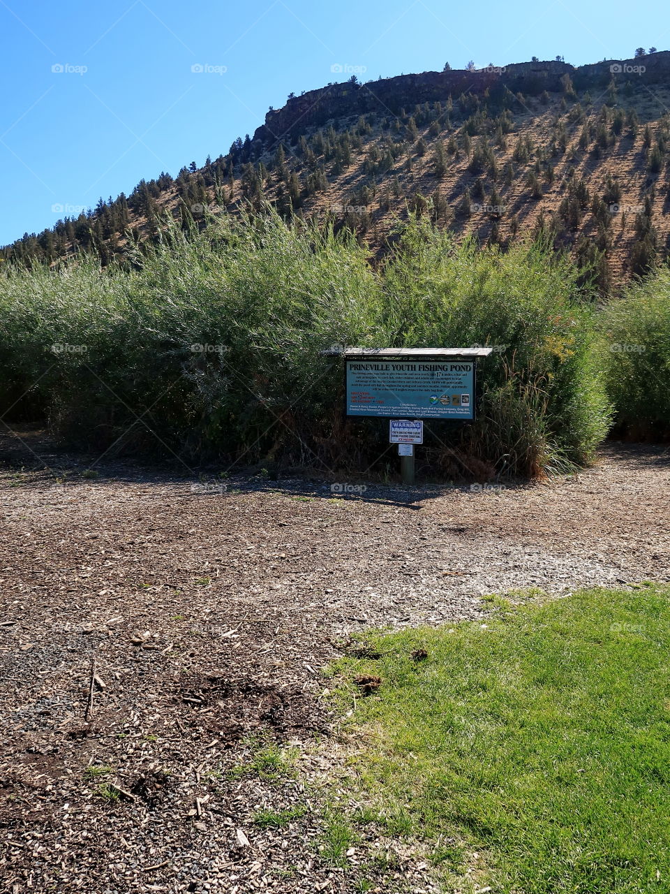 A trail leading to the Prineville Youth Fishing Pond with a sign at Rimrock Park in Prineville on a sunny fall day. 