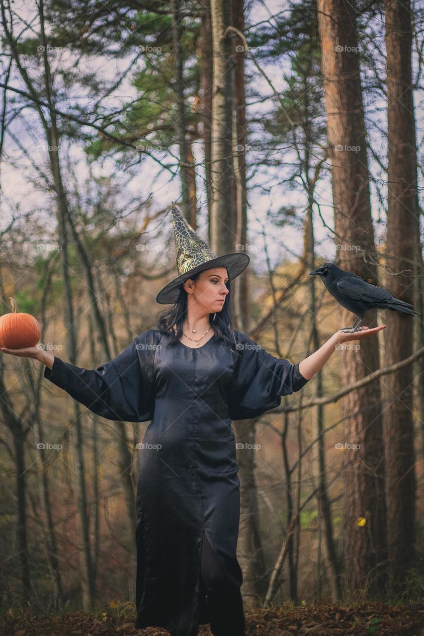 Mistress of the birds 