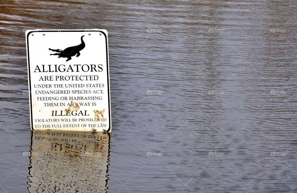 Warning sign. Do not feed alligators.