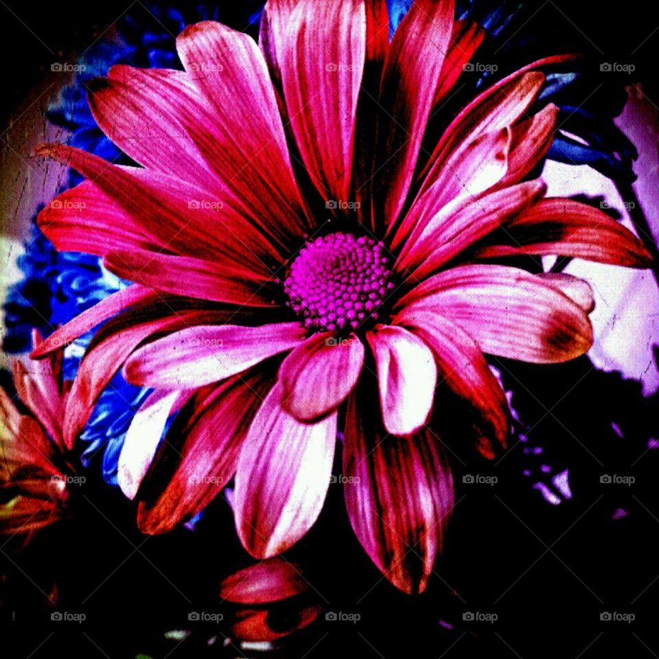 celebration. lighting effects