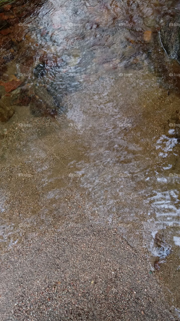 Watercourse Natural River