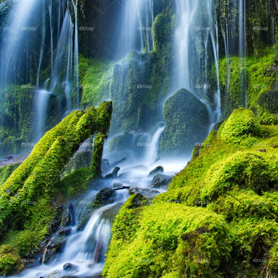 Waterfall on mossy rock
