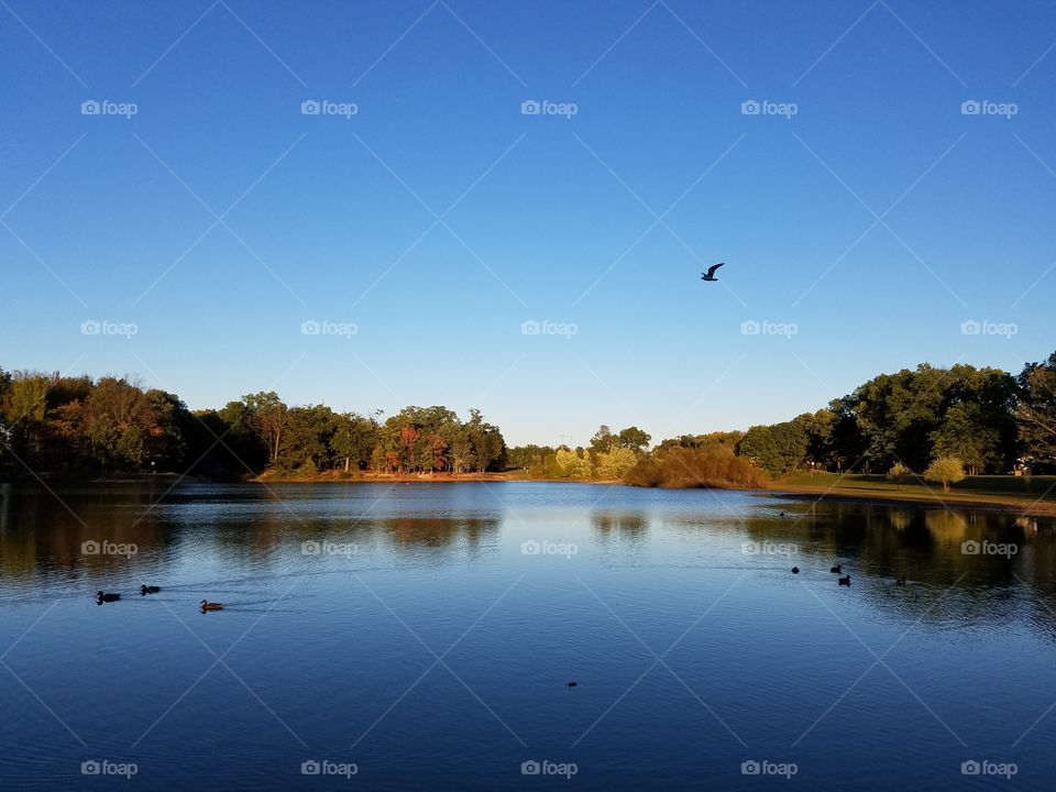 Autumn lake