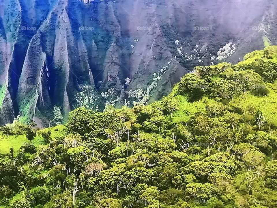Hawaii Hills