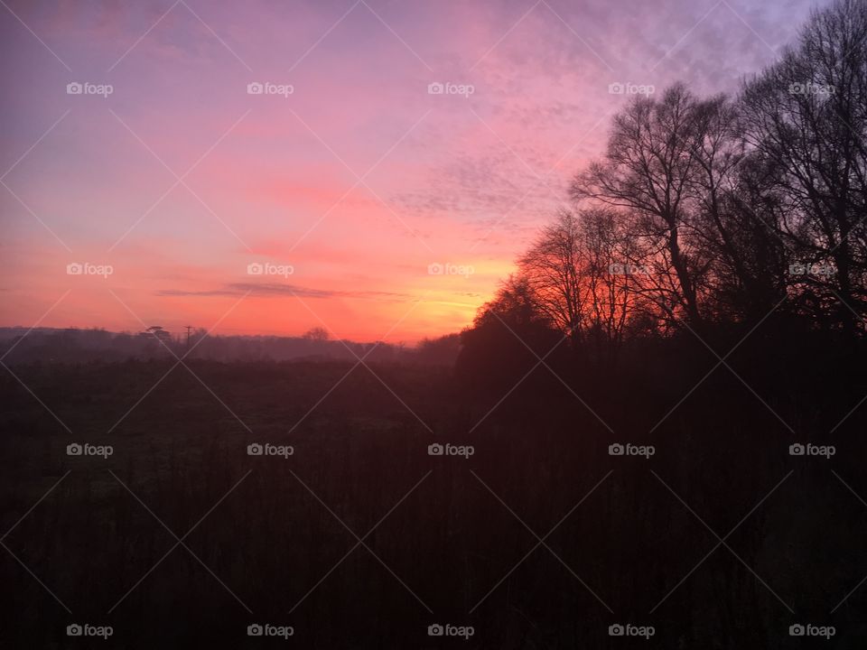 Dawn, Landscape, Sunset, Fog, Tree